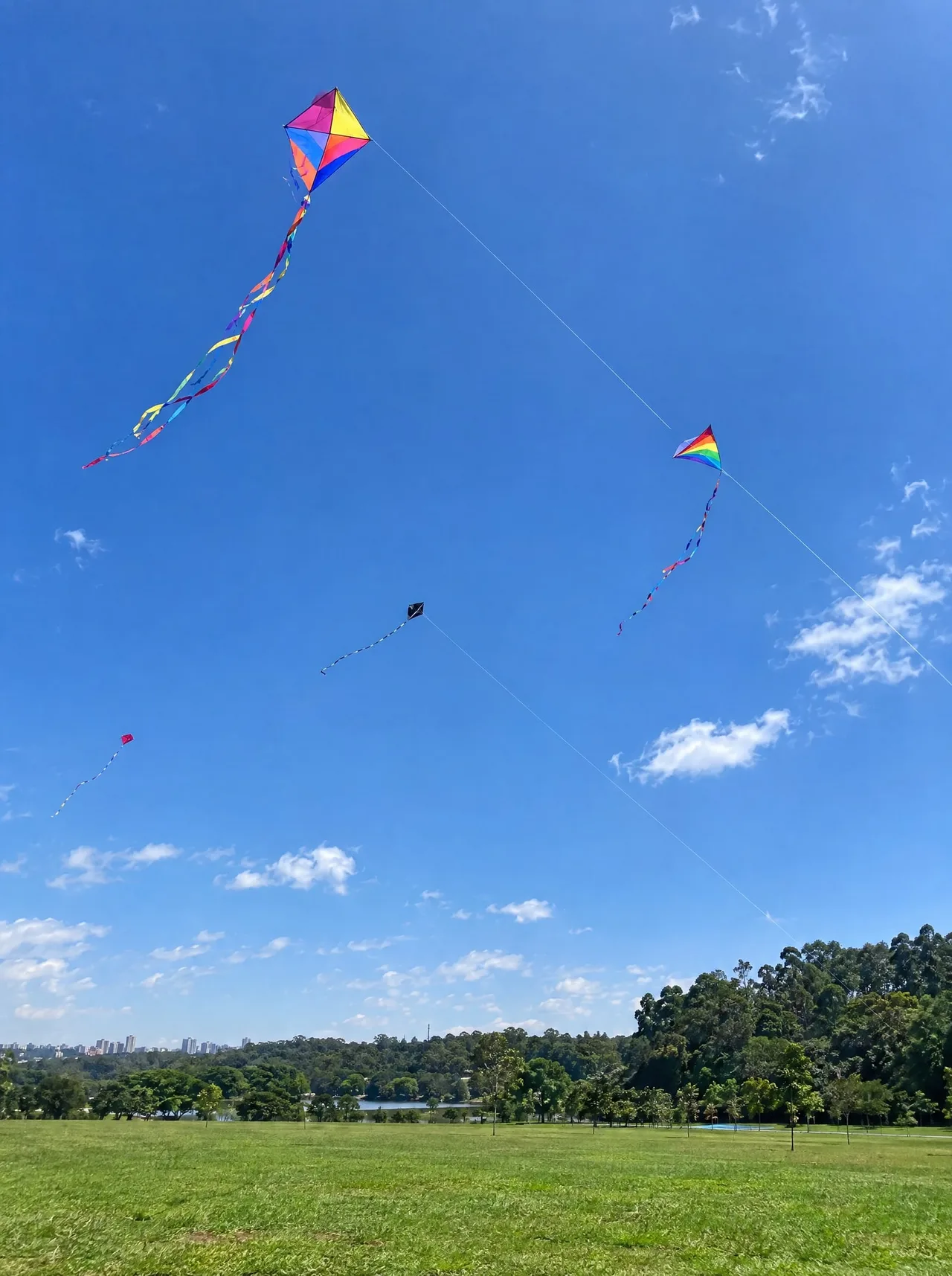 Pipas no Parque do Carmo (feriado)