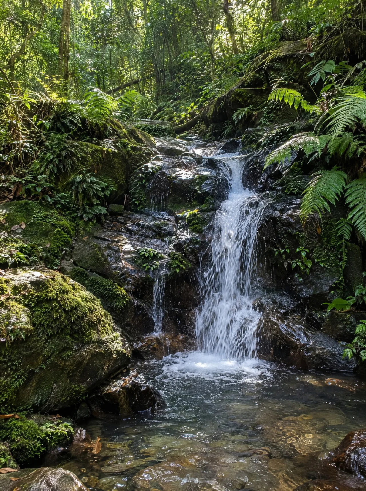 Trilha da Cachoeira, Núcleo Engordador