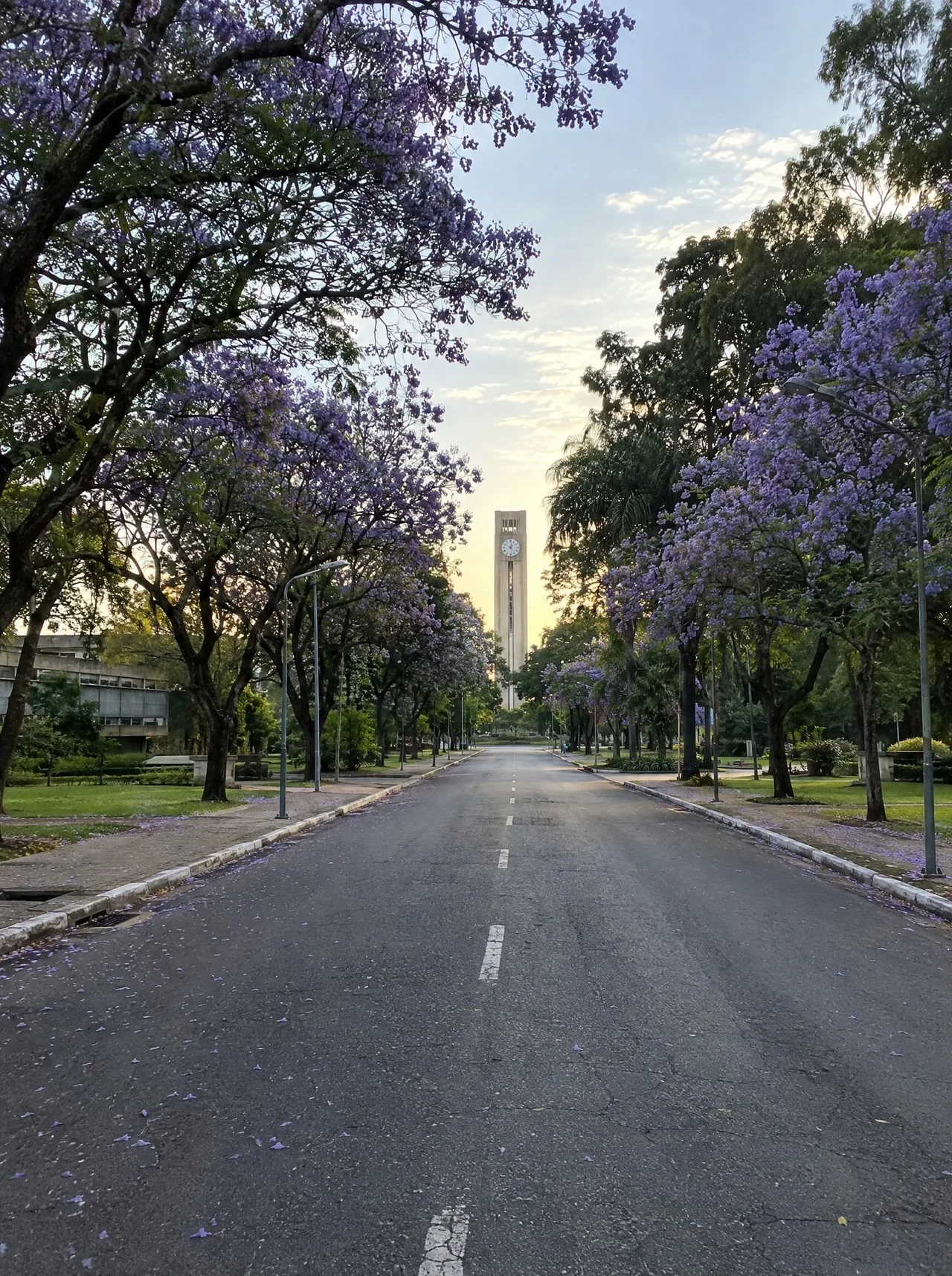 Corrida 5k na Cidade Universitária + café