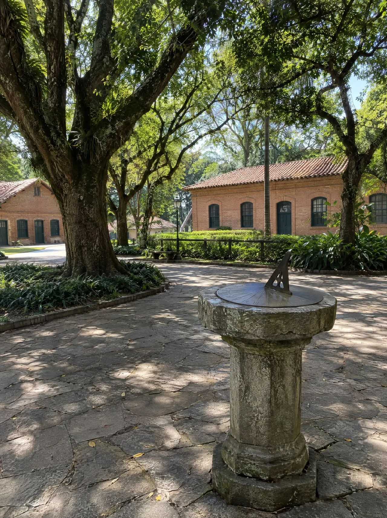 Tai chi de sábado no Parque da Água Branca